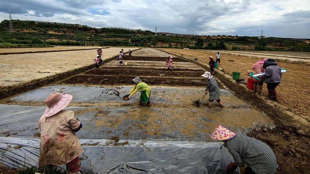 “五一”假期辽宁共接待游客2584.7万人次 实现旅游综合收入270.3亿元