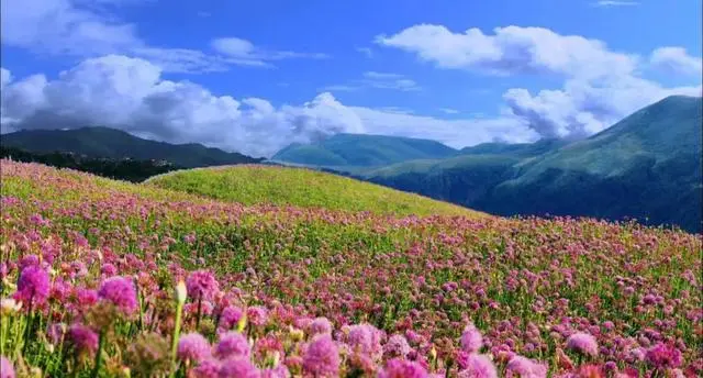 8个国内五月最美的地方，别辜负了这么美的初夏！