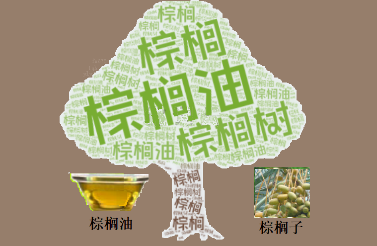 棕榈油价格波动！马来西亚出口下降与原油市场紧张局势，投资者如何把握机