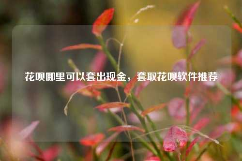 如何把花呗里的钱借出来急用？这些方法你一定要知道！